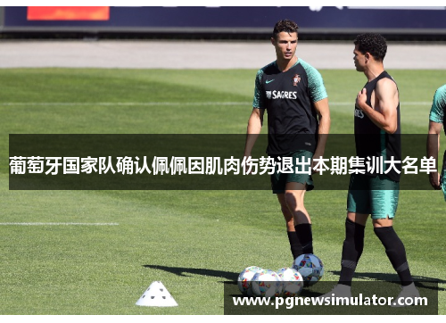 葡萄牙国家队确认佩佩因肌肉伤势退出本期集训大名单